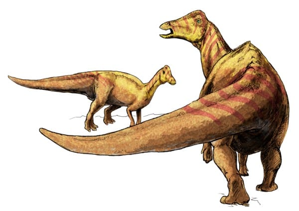 Life restoration Nipponosaurus