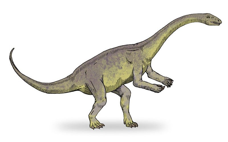 Lufengosaurus was a fascinating Early Jurassic sauropod. Discover its unique features, habitat, and role it played in its ecosystem.