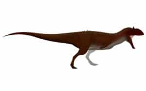 Majungasaurus | Madagascar's Late Cretaceous Predator
