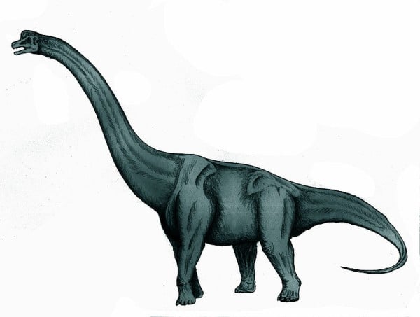 Restoration of Sauroposeidon proteles, a sauropod dinosaur