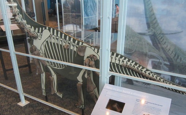 Skeleton in the Maryland Science Center Edward St. John Hall