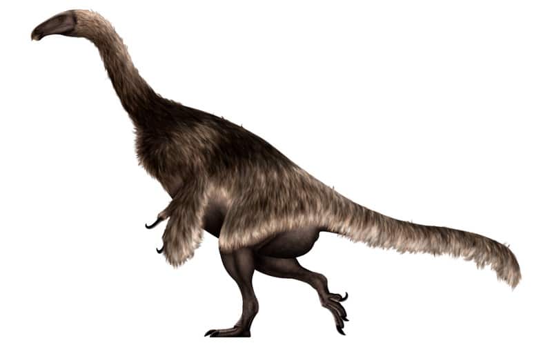 Nothronychus was a Late Cretaceous herbivore with sloth-like claws. Explore its habitat, diet, and unique features that made it unique.
