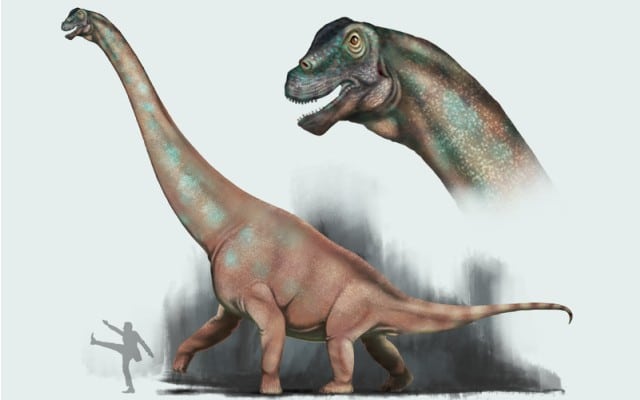 Austrosaurus McKillopi life reconstruction featuring some iridescent patterning.