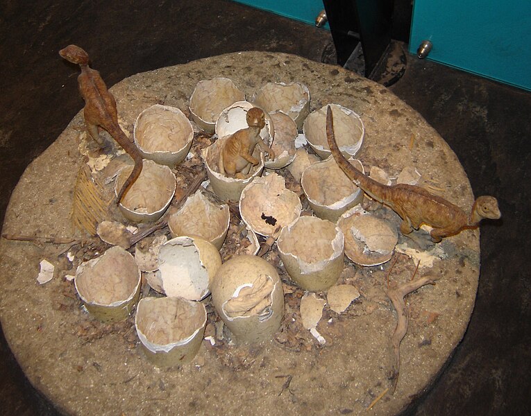 Model nest and hatchlings of Orodromeus makelai
