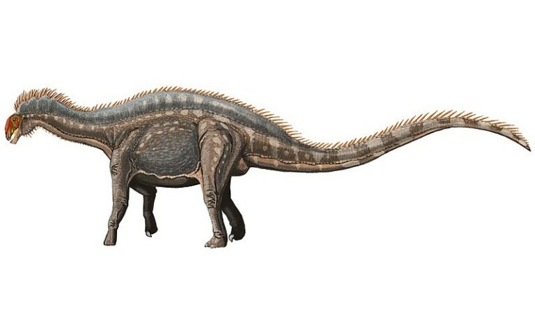 Discover Dicraeosaurus, a distinctive Sauropod from the Late Jurassic, known for its forked spines and significant contributions to our understanding of dinosaur evolution.