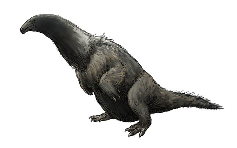 Erliansaurus was a unique herbivore theropod from the Late Cretaceous of Inner Mongolia. Explore its life, habitat, and contemporary dinosaurs.