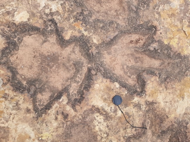 Dino tracks, Clarens Formation, Mafube Mountain Retreat site in South Africa
