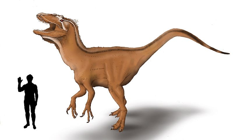 Bahariasaurus size