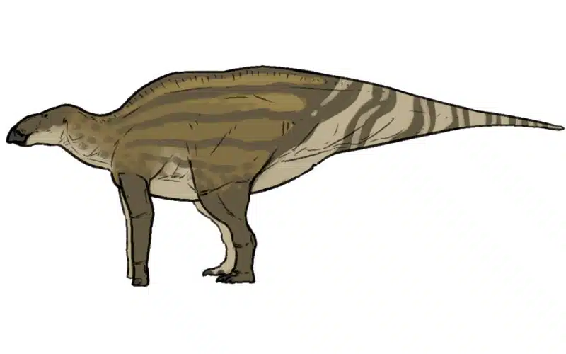 Illustration of Barsboldia sicinskii, a Late Cretaceous herbivorous dinosaur known for its large size and distinctive striping pattern. This quadrupedal dinosaur was part of the hadrosaurid family, characterized by its robust build and duck-billed appearance.