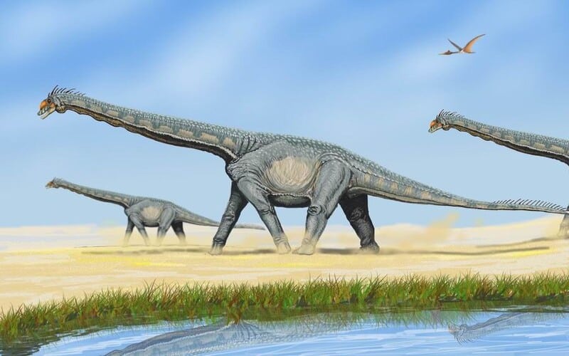 Sauropod dinosaurs were the largest terrestrial land animals to ever roam the earth. But how and, even more to the point, why did they get so big?