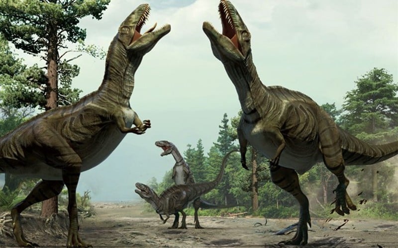 Discover how Theropods evolved from primitive dinosaurs to the most ferocious predators to ever roam earth. Then they evolved into chickens, yes for real.