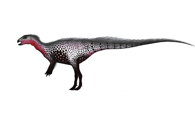 Discover Gideonmantellia, a basal Ornithopod from the Early Cretaceous, highlighting its discovery, habitat, and significance in paleontology.