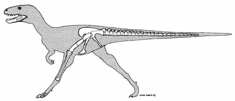 Reconstrucuon of Bagaraatan ostromi