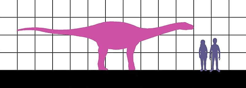 Venenosaurus size