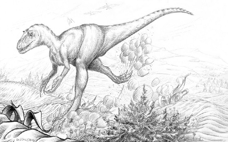 Bagaraatan: The Small Hunter from the Late Cretaceous . Discover Bagaraatan, the Small Hunter dinosaur from Mongolia's Late Cretaceous Period.