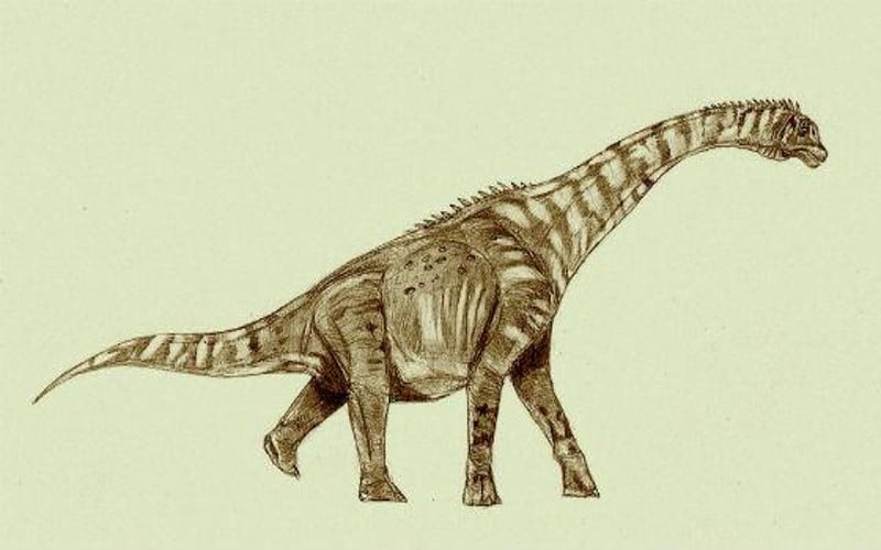 Venenosaurus Utah’s “Poison Lizard” from Early Cretaceous. Discover Venenosaurus, the Poison Lizard from the Early Cretaceous, known for its long neck and fascinating adaptations. Explore its world and history.