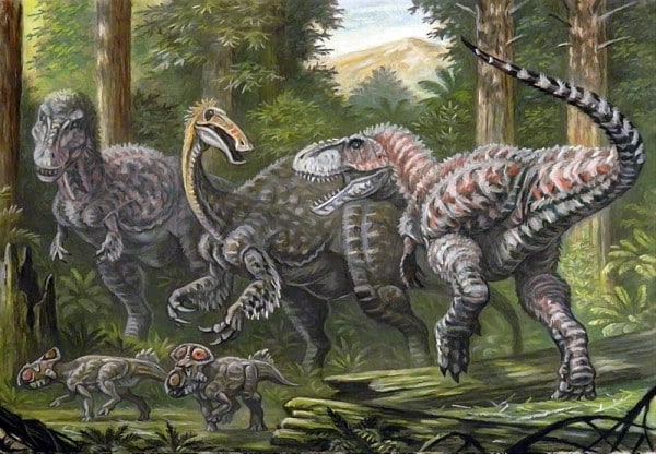 Two Tarbosaurus (on each side) attacking a Deinocheirus (center). Bottom : two smaller ceratopsians