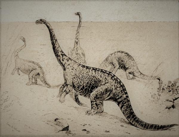 E.D. Cope's original sketch of Amphicoelias altus as an "amphibious lizard", c. 1897