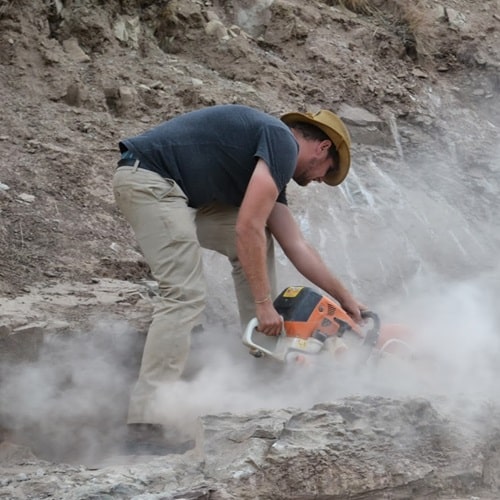 Dr. Blair McPhee writes about paleontology on thedinosaurs.org