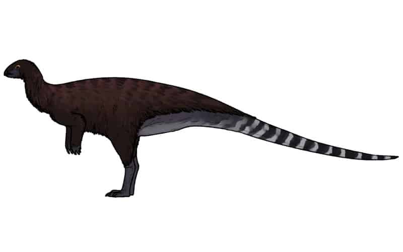 Life reconstruction of Chakisaurus nekul
