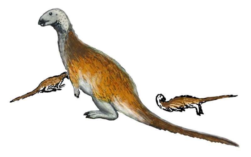 Life restoration of an adult Chakisaurus with two juvenile individuals.