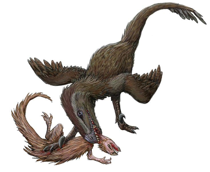Echinodon being attacked by a Nuthetes, hypothetically restored as a dromaeosaur