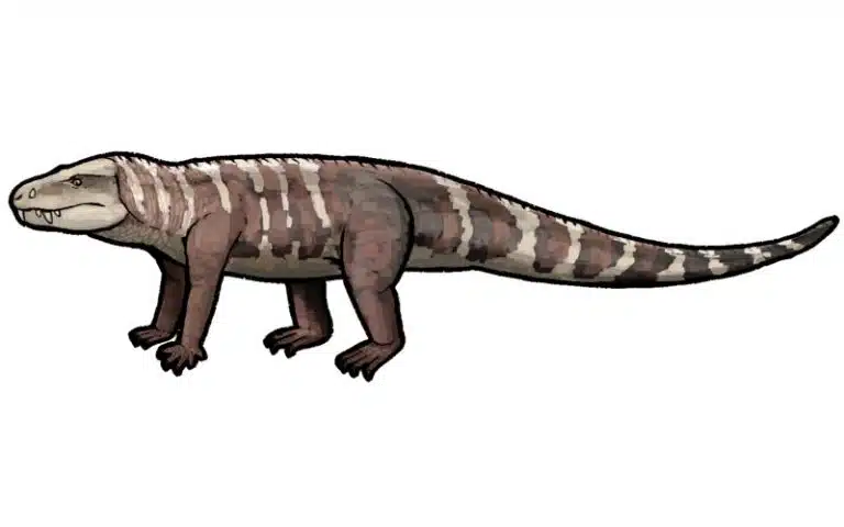 Discover Aphaurosuchus, a baurusuchid crocodile from Late Cretaceous Brazil, known for its unique weak bite.