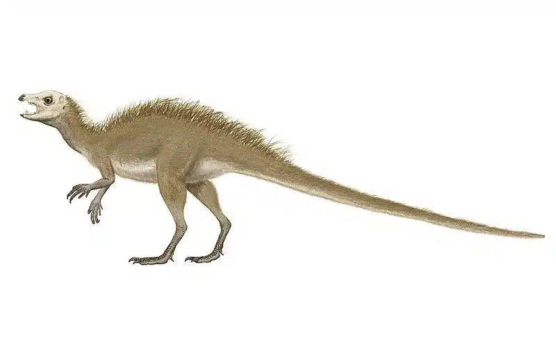 Discover Echinodon, a Spiny-toothed herbivore from the Early Cretaceous Period, known for its unique dental structure and agility.