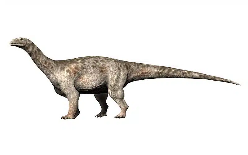 Discover Ledumahadi, a massive herbivorous dinosaur from the Early Jurassic, known for its unique adaptations and enormous size.