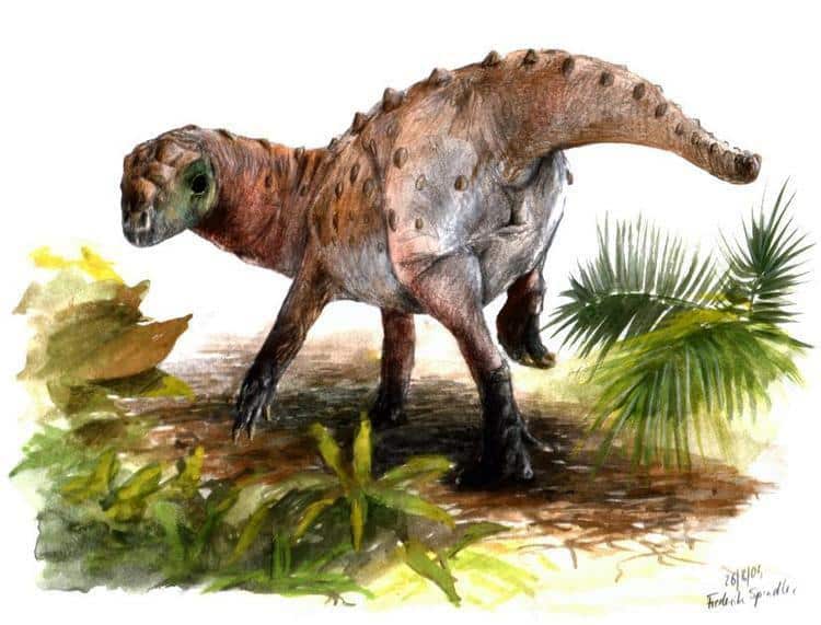 ferganasaurus