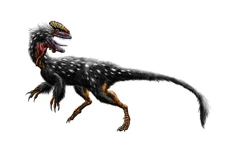 Explore Guanlong, the “Crown Dragon” of the Late Jurassic, a fascinating theropod with unique adaptations.