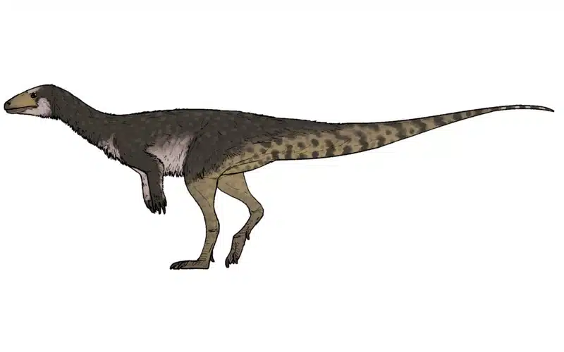 Life reconstruction of Ahvaytum bahndooiveche