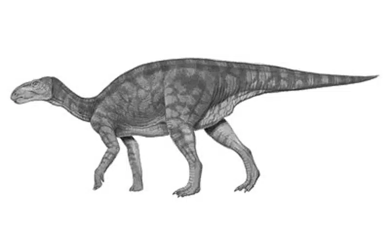 Discover Equijubus, the Horse Mane dinosaur from Early Cretaceous China. Explore its unique habitat, evolutionary adaptations, and contemporaries.