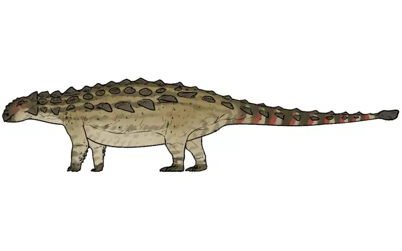 Learn about Tianzhenosaurus, a Late Cretaceous ankylosaur, its discovery, unique features, and its natural habitat.