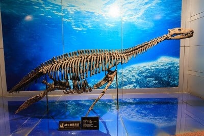 Zigong Dinosaur Museum Bishanopliosaurus