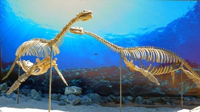 DinoPark Plzeň Pliosaurus