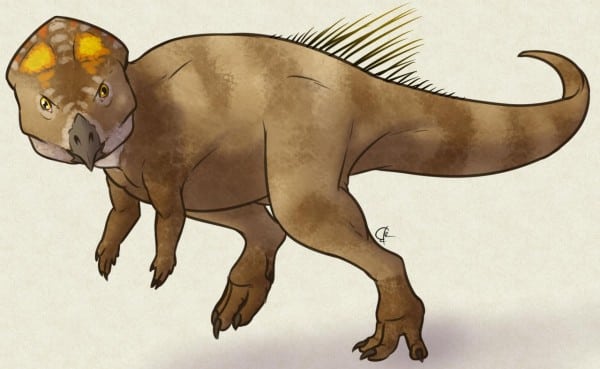 Helioceratops