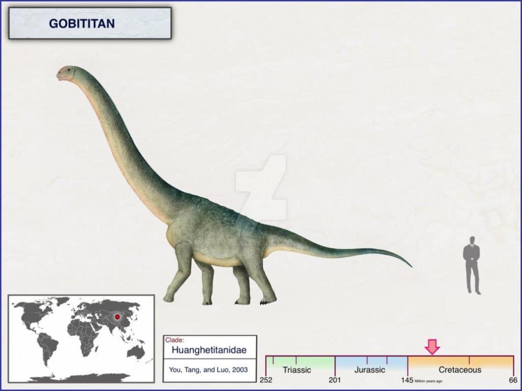 Gobititan size