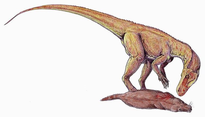 An artist's impression of Herrerasaurus feeding on a small cynodont
