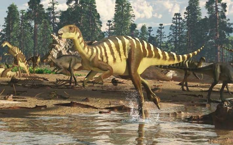 Discover Galleonosaurus, a small herbivorous dinosaur from Early Cretaceous Australia. Learn about its size, habitat, and fossil discoveries.