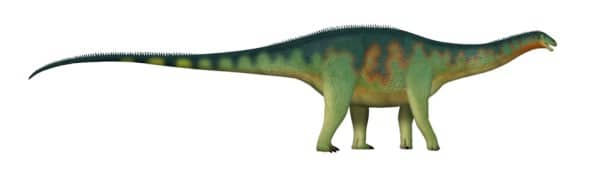 Cienciargentina: "Argentine science" Late Cretaceous, South America