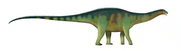 Cienciargentina: "Argentine science" Late Cretaceous, South America