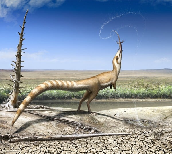 Reconstruction of Sinosauropteryx in the predicted open habitats in which it lived around the Jehol lakes, preying on the lizard Dalinghosaurus. 
