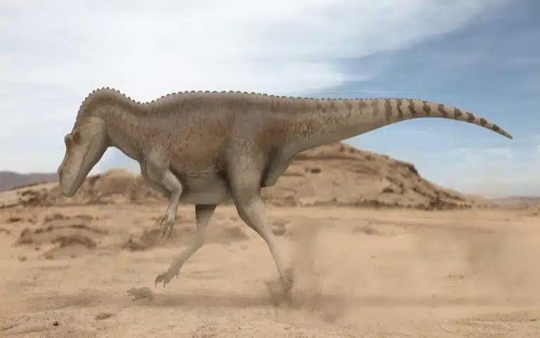 Discover Genyodectes, a carnivorous theropod from the Early Cretaceous. Learn about its size, diet, habitat, and contemporary dinosaurs.