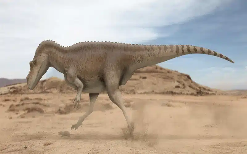 Discover Genyodectes, a carnivorous theropod from the Early Cretaceous. Learn about its size, diet, habitat, and contemporary dinosaurs.