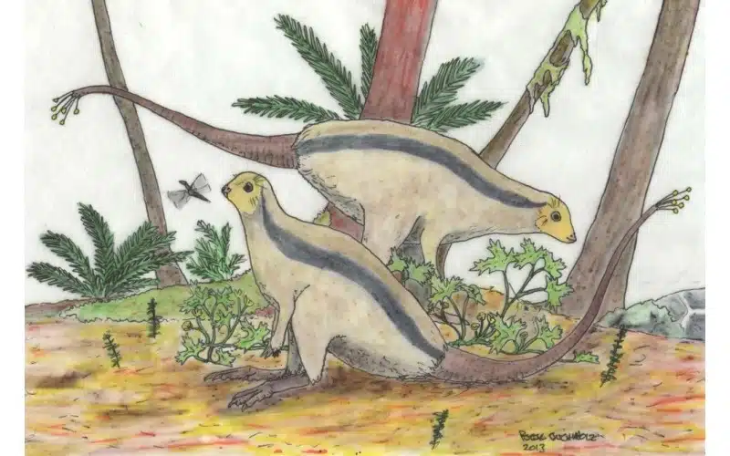 Discover Jeholosaurus, a small herbivorous dinosaur from Early Cretaceous China, known for agility and unique evolutionary position.