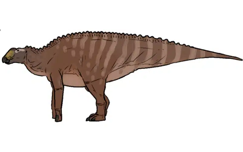 Discover Huallasaurus, the duck-lizard hadrosaurid from Cretaceous Argentina, with unique traits and a Patagonian past.