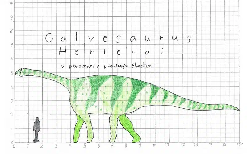 Galvesaurus size