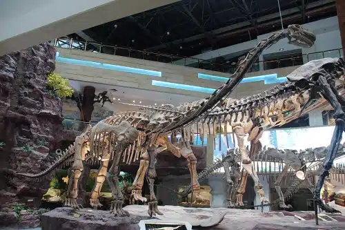 Anhui Geological Museum, Hefei. Complete indexed photo collection at WorldHistoryPics.com.
