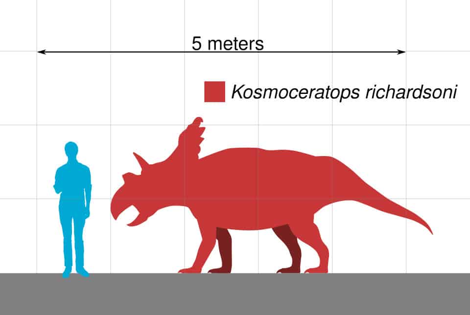 Discover Kosmoceratops, a horned dinosaur from Utah with the most ornate skull of any known species from the Late Cretaceous.